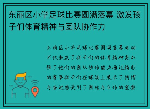 东丽区小学足球比赛圆满落幕 激发孩子们体育精神与团队协作力
