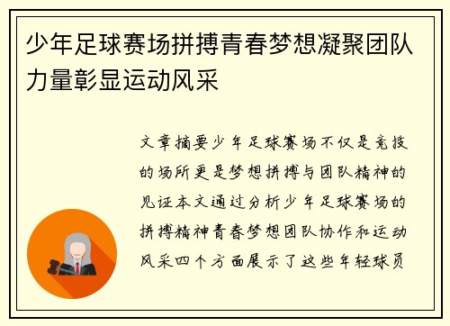 少年足球赛场拼搏青春梦想凝聚团队力量彰显运动风采