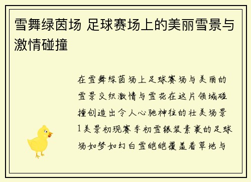 雪舞绿茵场 足球赛场上的美丽雪景与激情碰撞