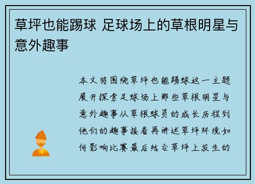 草坪也能踢球 足球场上的草根明星与意外趣事