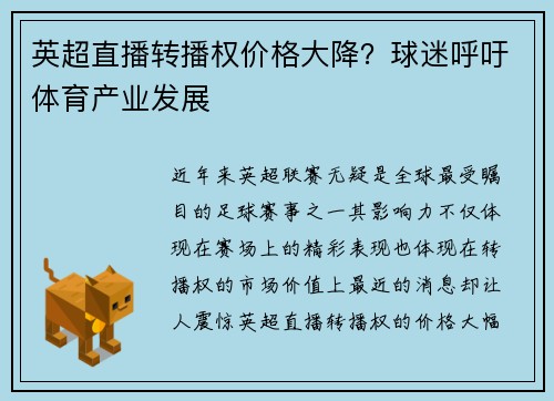 英超直播转播权价格大降？球迷呼吁体育产业发展