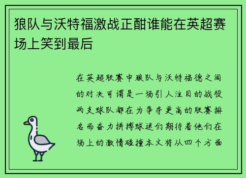 狼队与沃特福激战正酣谁能在英超赛场上笑到最后