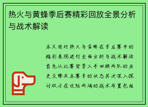 热火与黄蜂季后赛精彩回放全景分析与战术解读