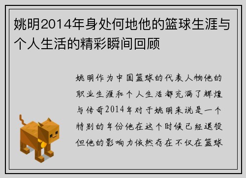 姚明2014年身处何地他的篮球生涯与个人生活的精彩瞬间回顾